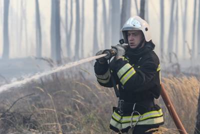 Свыше сотни лесных пожаров потушили в России за сутки