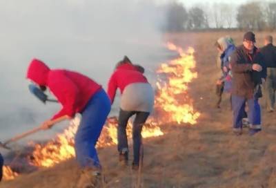 Спасатели с начала года зафиксировали более 11 тысяч палов травы в России