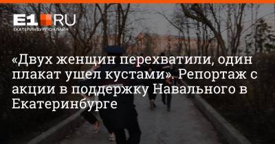 «Двух женщин перехватили, один плакат ушел кустами». Репортаж с акции в поддержку Навального в Екатеринбурге