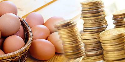 Цены на яйца в Украине в апреле 2021 - в чем причина резкого подорожания - ТЕЛЕГРАФ