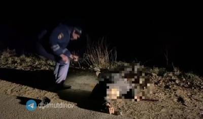 В Башкирии разыскивается водитель, который насмерть сбил человека и скрылся