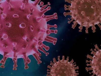 Британские ученые описали, как коронавирус поражает мозг человека