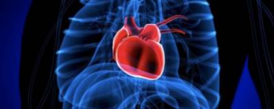 Австралийские ученые нашли метод лечения «синдрома разбитого сердца»