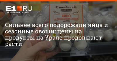 Сильнее всего подорожали яйца и сезонные овощи: цены на продукты на Урале продолжают расти