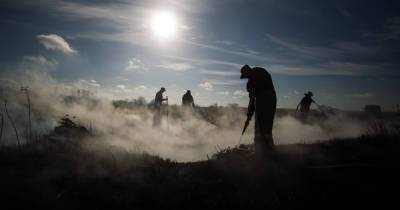 В Калининградской области за сутки потушили 30 палов травы