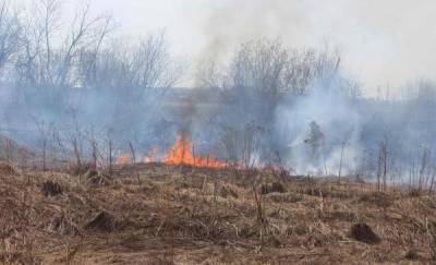 Пожароопасный сезон в Тюменской области: произошло уже больше 200 возгораний