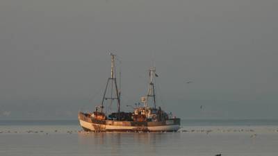 Рыболовецкая шхуна затонула после столкновения с контейнеровозом у берегов Китая