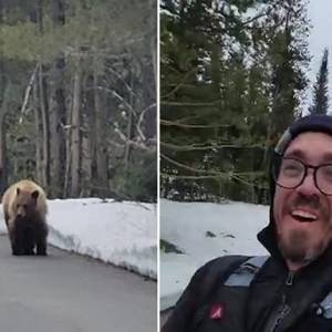 В США черный медведь преследовал бегуна. Видео