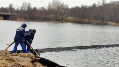 Специалисты из Петербурга очистили от нефтепродуктов бухту Радуга