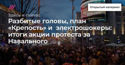 Разбитые головы, план «Крепость» и электрошокеры: итоги акции протеста за Навального