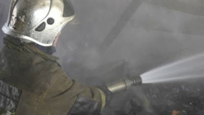 Пожарные потушили огонь в элитной резиденции на Крестовском острове
