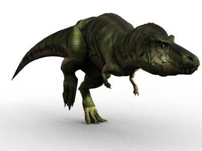 Тираннозавр двигался со скоростью менее пяти километров в час