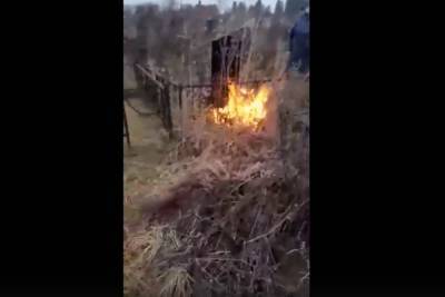В Тверской области поджигателей кладбища поймали за руку