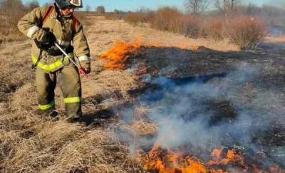 В Тюменской области поджигателя сухой травы поймали на месте преступления