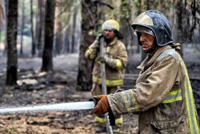В Украине произошло более 60 лесных пожаров