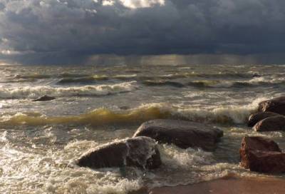 Фотограф из Соснового Бора показал Финский залив после дождя