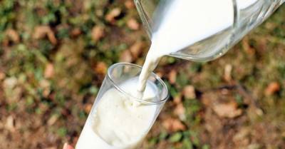 Украинское молоко заходит на рынок Ливии