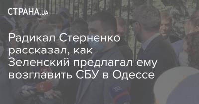 Радикал Стерненко рассказал, как Зеленский предлагал ему возглавить СБУ в Одессе