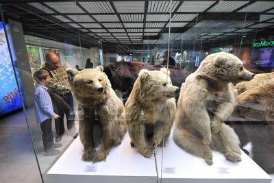Дарвиновский музей пригласил москвичей на «Ночь в музее»