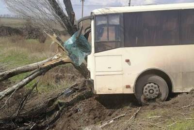 На Донбассе автобус с шахтерами врезался в дерево