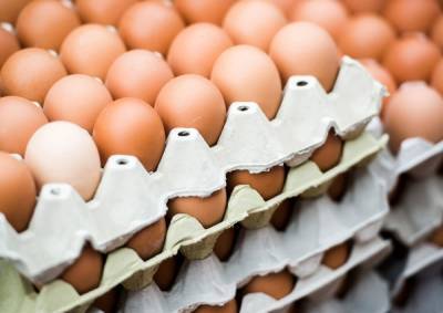 Распродажа яиц по ценам от производителей состоится в Нижнем Новгороде с 23 по 25 апреля