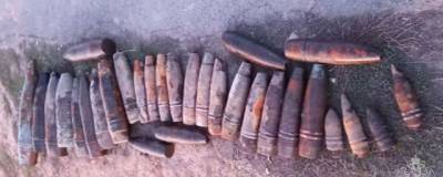 В Удмуртии на дне пруда нашли 32 артиллерийских снаряда