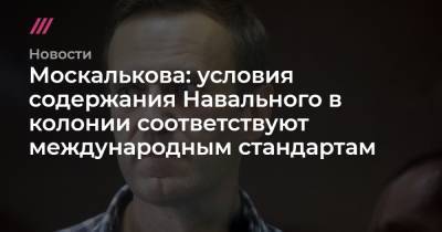 Москалькова: условия содержания Навального в колонии соответствуют международным стандартам