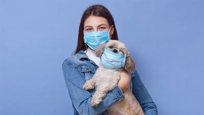 Мохнатая пандемия: владельцы домашних животных ринулись проверять их на коронавирус