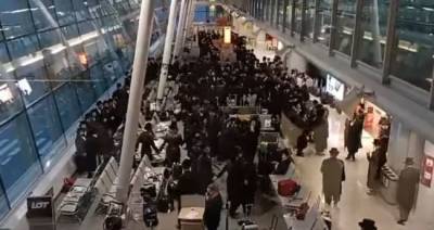 Поляков шокировал ритуальный танец евреев в варшавском аэропорту