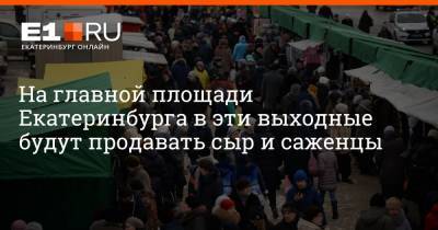 На главной площади Екатеринбурга в эти выходные будут продавать сыр и саженцы