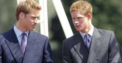 «Примирение маловероятно»: королевский эксперт — о конфликте между принцами Гарри и Уильямом
