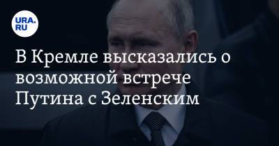 В Кремле высказались о возможной встрече Путина с Зеленским