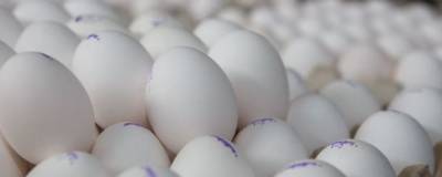 Перед Пасхой нижегородцы смогут купить яйца по ценам производителя