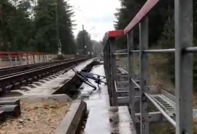 Видео: Сбитый электричкой велосипедист упал с моста в Сестрорецке и выжил