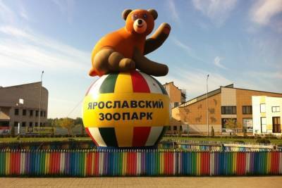 Ярославский зоопарк намерен купить здание под обезьянник