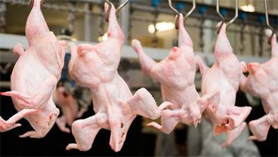 Минфин предлагает исключить ФЛП-производителей мяса птицы из числа плательщиков единого налога