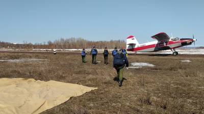 Сахалинские парашютисты-пожарные приступили к тренировкам