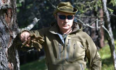 Россия явно похожа на Шерхана: как Путин ошибся по Фрейду