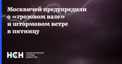 Москвичей предупредили о «грозовом вале» и штормовом ветре в пятницу