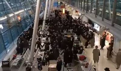 Поляки возмутились ритуальным танцем евреев в аэропорту Варшавы (ВИДЕО)