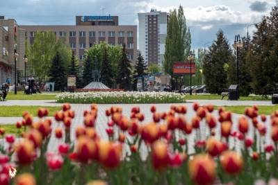 Более ста тысяч цветов высадят в Серпухове