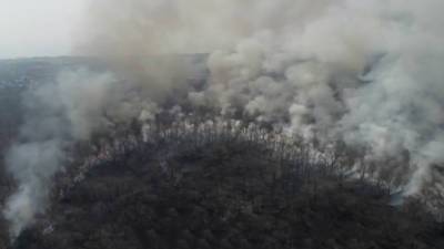 Вести. Из-за ситуации с пожарами в 25 регионах запрещено ходить в лес и разводить костер