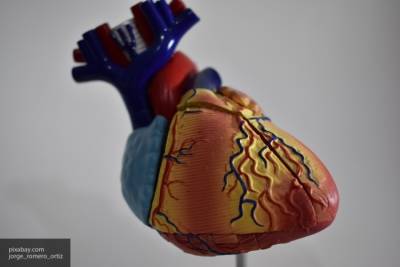 Эксперты раскрыли главную причину развития кардиомиопатии