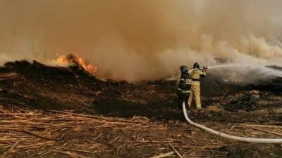 В Биробиджане загорелась пилорама: огнем охвачены 15 тысяч «квадратов»