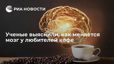 Ученые выяснили, как меняется мозг у любителей кофе - ria.ru - Москва - Португалия
