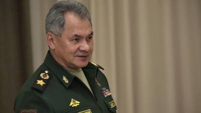 Шойгу рассказал об итогах внеплановой проверки боеготовности войск ЮВО и ЗВО в Крыму