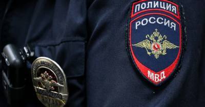 МВД запретило 122 иностранцам въезд в Россию на 40 лет за участие в незаконных акциях