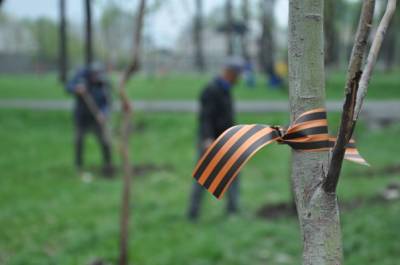 В Бишкеке ко Дню Победы посадили сад