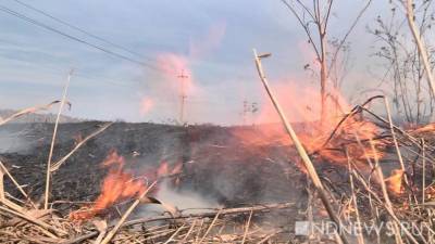 «Огонь подходит к селу»: в Зауралье тушат крупный природный пожар
