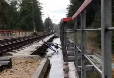 Видео: в Сестрорецке сбитый поездом велосипедист упал с моста и выжил